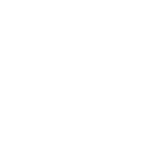 security icon